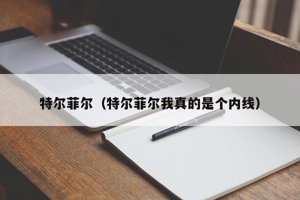 特尔菲尔（特尔菲尔我真的是个内线）