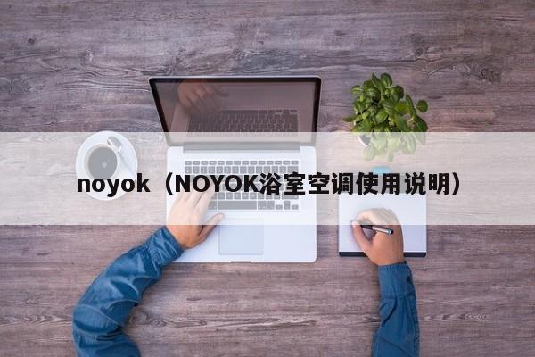 noyok（NOYOK浴室空调使用说明）