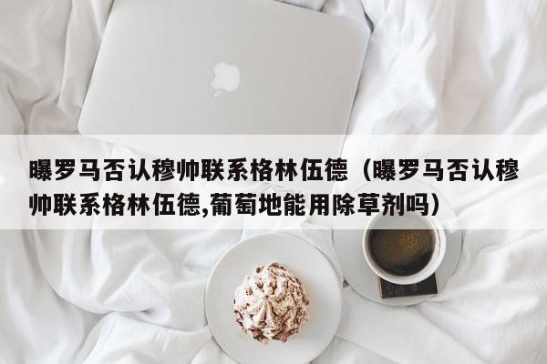 曝罗马否认穆帅联系格林伍德（曝罗马否认穆帅联系格林伍德,葡萄地能用除草剂吗）