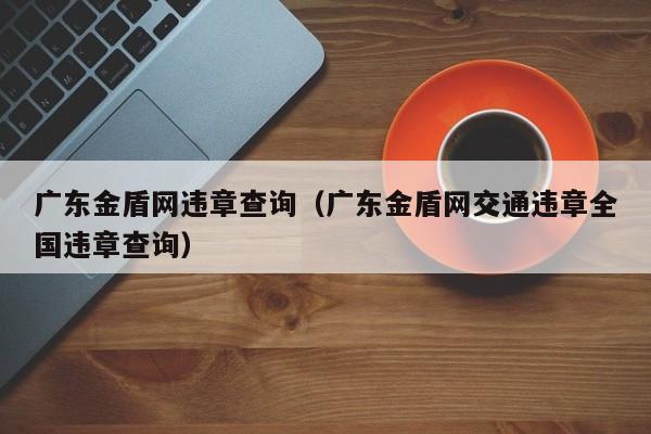 广东金盾网违章查询（广东金盾网交通违章全国违章查询）