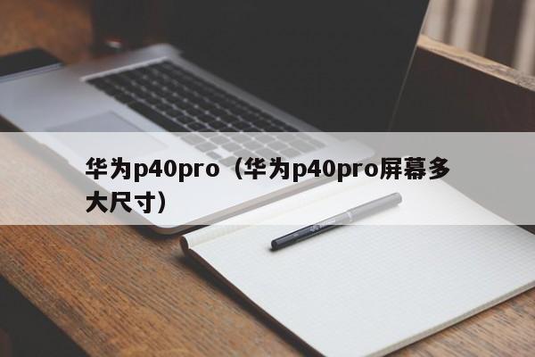 华为p40pro（华为p40pro屏幕多大尺寸）