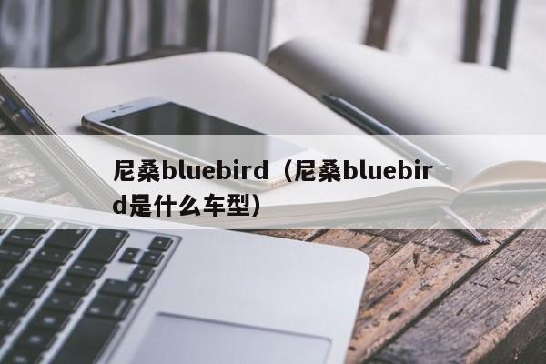 尼桑bluebird（尼桑bluebird是什么车型）