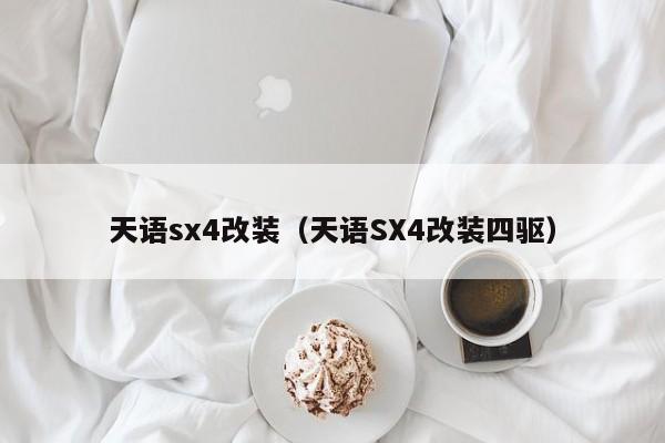 天语sx4改装（天语SX4改装四驱）