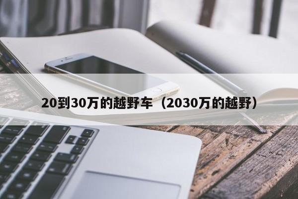 20到30万的越野车（2030万的越野）