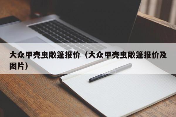 大众甲壳虫敞篷报价（大众甲壳虫敞篷报价及图片）