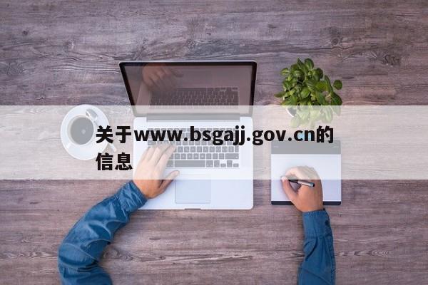 关于www.bsgajj.gov.cn的信息