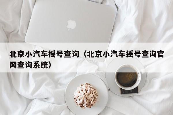 北京小汽车摇号查询（北京小汽车摇号查询官网查询系统）