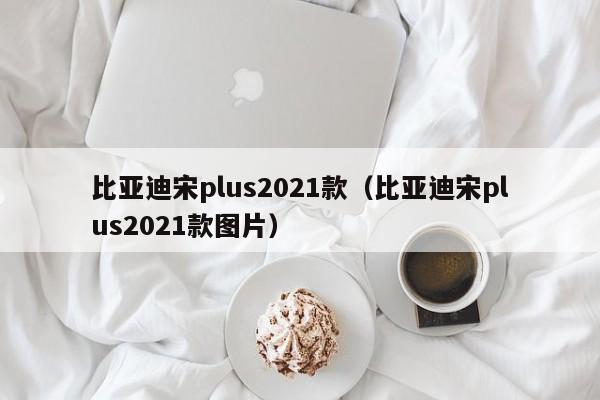 比亚迪宋plus2021款（比亚迪宋plus2021款图片）