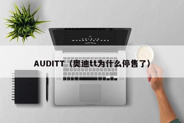 AUDITT（奥迪tt为什么停售了）