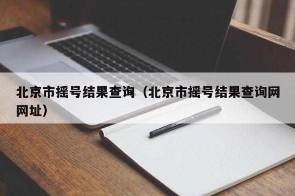 北京市摇号结果查询（北京市摇号结果查询网网址）