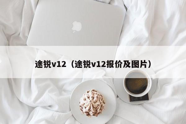 途锐v12（途锐v12报价及图片）