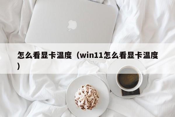 怎么看显卡温度（win11怎么看显卡温度）