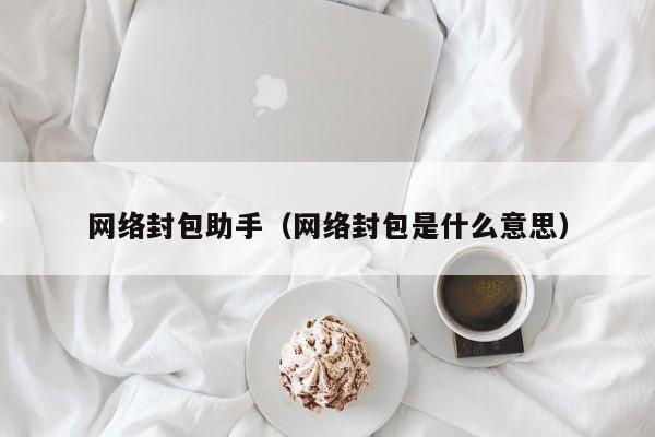 网络封包助手（网络封包是什么意思）