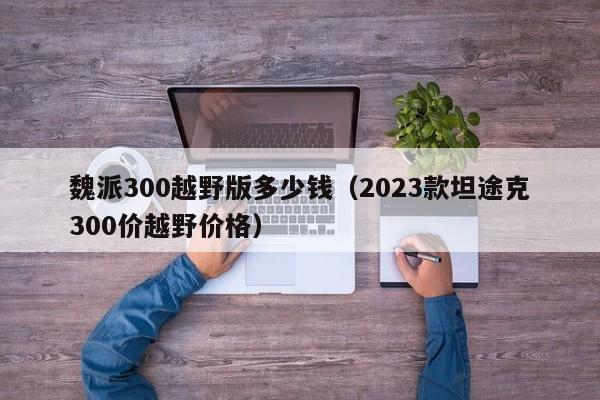 魏派300越野版多少钱（2023款坦途克300价越野价格）