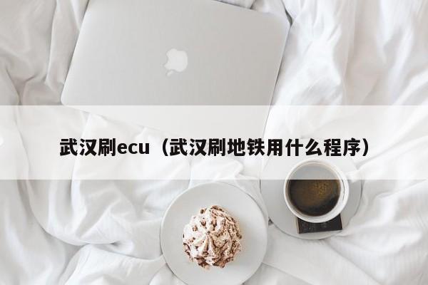 武汉刷ecu（武汉刷地铁用什么程序）