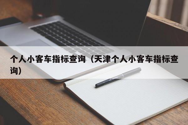 个人小客车指标查询（天津个人小客车指标查询）