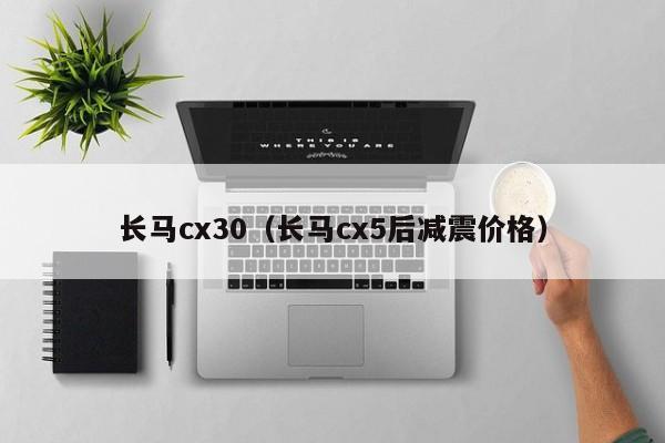 长马cx30（长马cx5后减震价格）