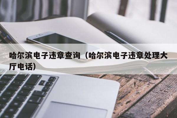 哈尔滨电子违章查询（哈尔滨电子违章处理大厅电话）