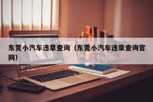 东莞小汽车违章查询（东莞小汽车违章查询官网）