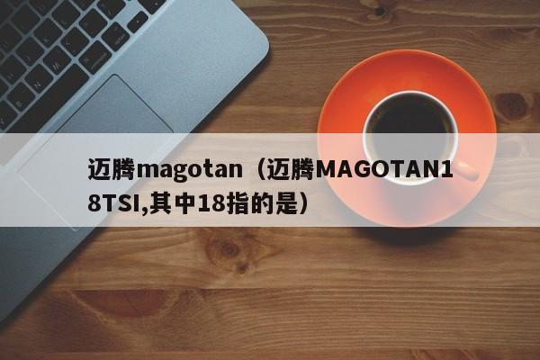 迈腾magotan（迈腾MAGOTAN18TSI,其中18指的是）