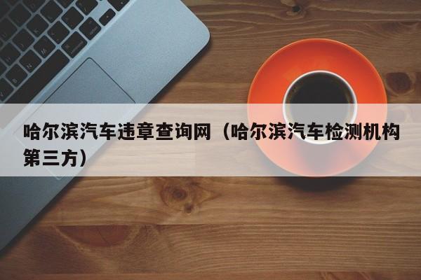 哈尔滨汽车违章查询网（哈尔滨汽车检测机构第三方）