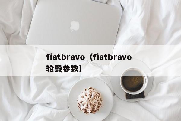 fiatbravo（fiatbravo 轮毂参数）