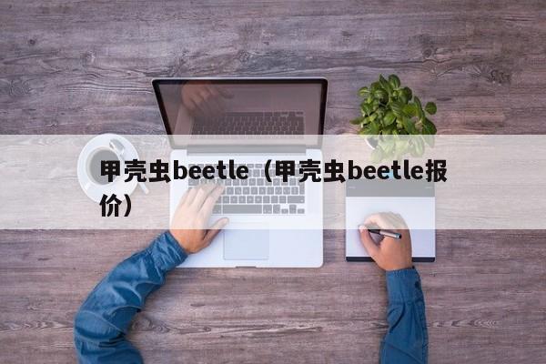 甲壳虫beetle（甲壳虫beetle报价）