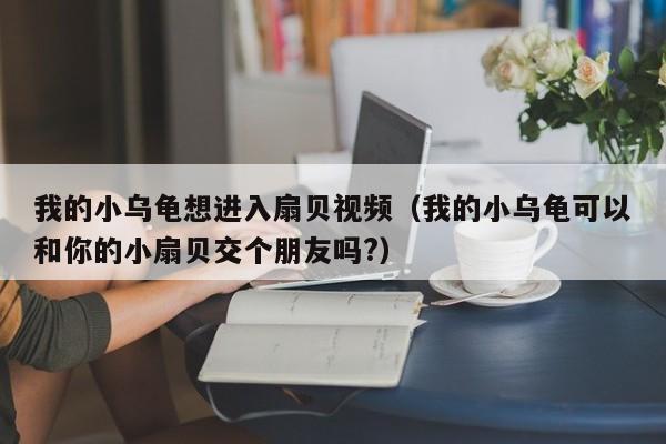 我的小乌龟想进入扇贝视频（我的小乌龟可以和你的小扇贝交个朋友吗?）