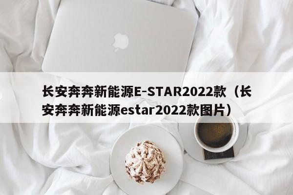 长安奔奔新能源E-STAR2022款（长安奔奔新能源estar2022款图片）