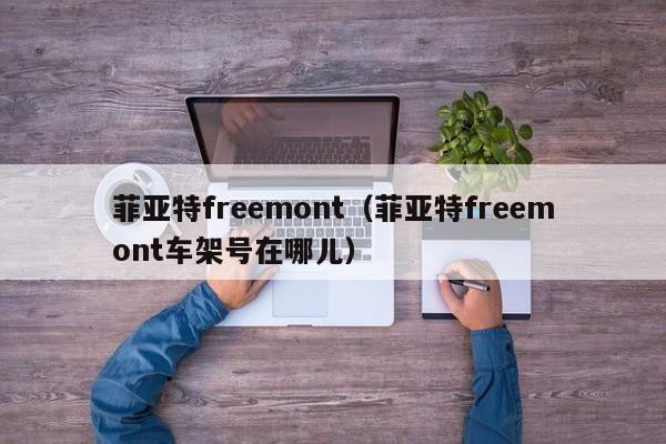 菲亚特freemont（菲亚特freemont车架号在哪儿）