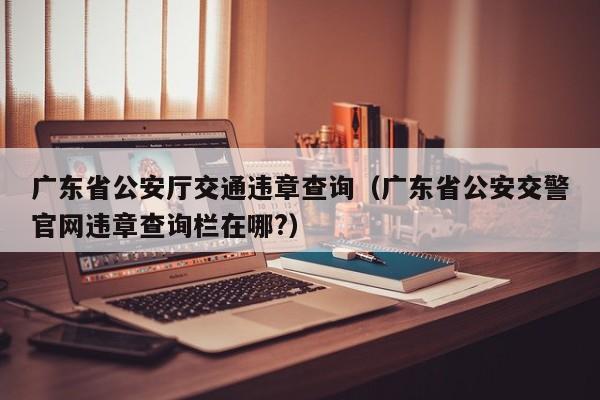 广东省公安厅交通违章查询（广东省公安交警官网违章查询栏在哪?）