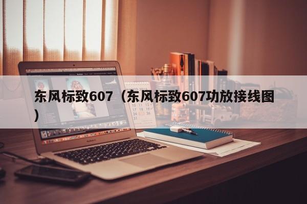 东风标致607（东风标致607功放接线图）