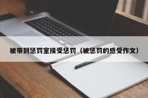 被带到惩罚室接受惩罚（被惩罚的感受作文）