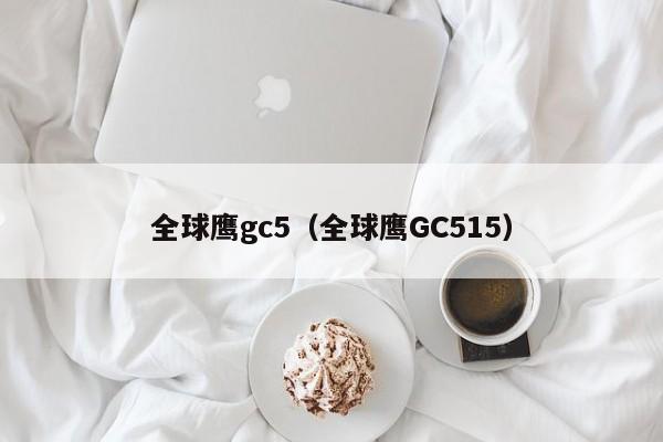 全球鹰gc5（全球鹰GC515）