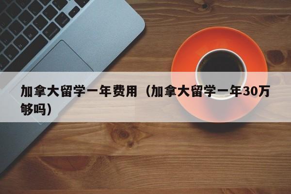 加拿大留学一年费用（加拿大留学一年30万够吗）