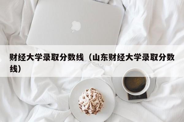 财经大学录取分数线（山东财经大学录取分数线）