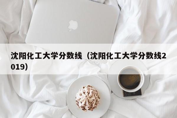 沈阳化工大学分数线（沈阳化工大学分数线2019）