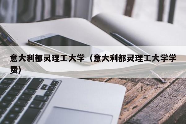 意大利都灵理工大学（意大利都灵理工大学学费）