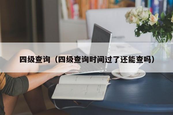 四级查询（四级查询时间过了还能查吗）