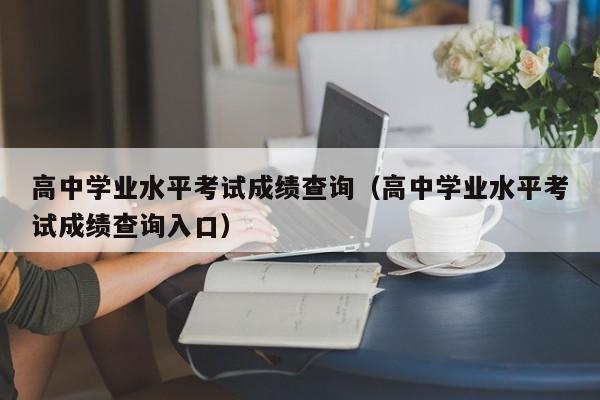 高中学业水平考试成绩查询（高中学业水平考试成绩查询入口）