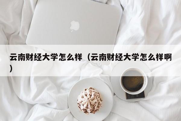 云南财经大学怎么样（云南财经大学怎么样啊）