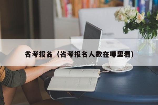 省考报名（省考报名人数在哪里看）