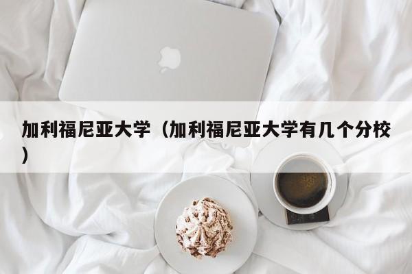 加利福尼亚大学（加利福尼亚大学有几个分校）