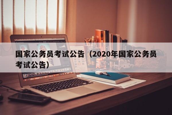 国家公务员考试公告（2020年国家公务员考试公告）