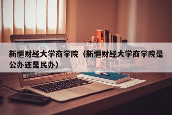 新疆财经大学商学院（新疆财经大学商学院是公办还是民办）