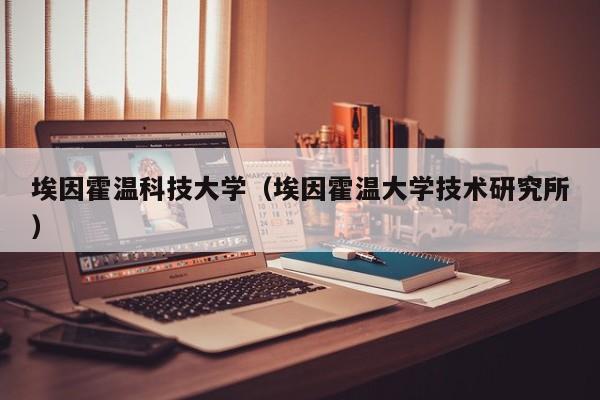 埃因霍温科技大学（埃因霍温大学技术研究所）