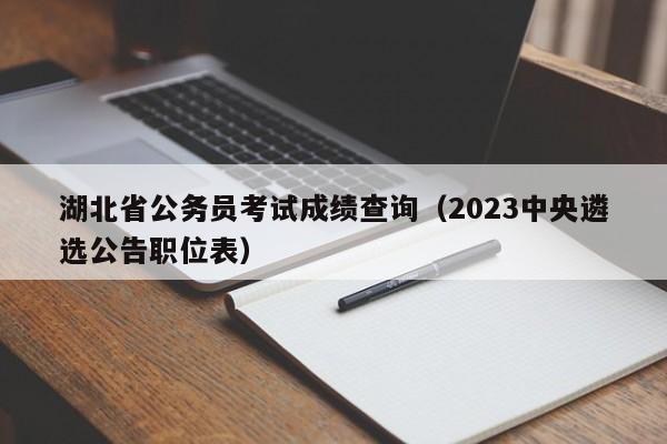 湖北省公务员考试成绩查询（2023中央遴选公告职位表）